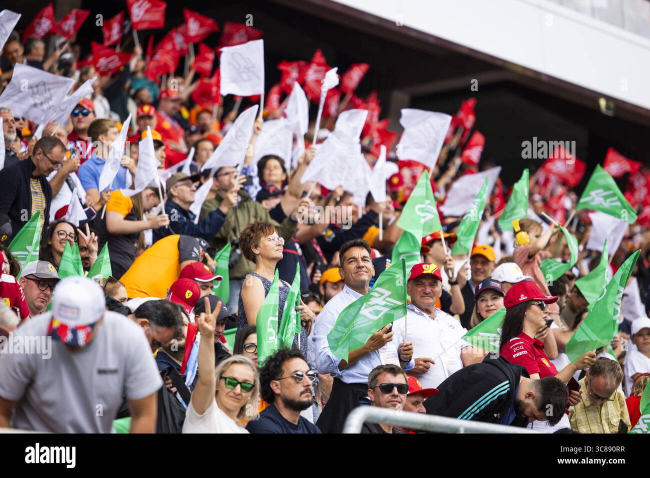 Tifosi durante il Gran Premio d'Ungheria di Formula 1 2025, 14° round del Campionato del mondo di Formula 1 2025 FIA dal 1° al 3 agosto 2025 sull'Hungaroring, a Mogyorod, Ungheria Foto Stock
