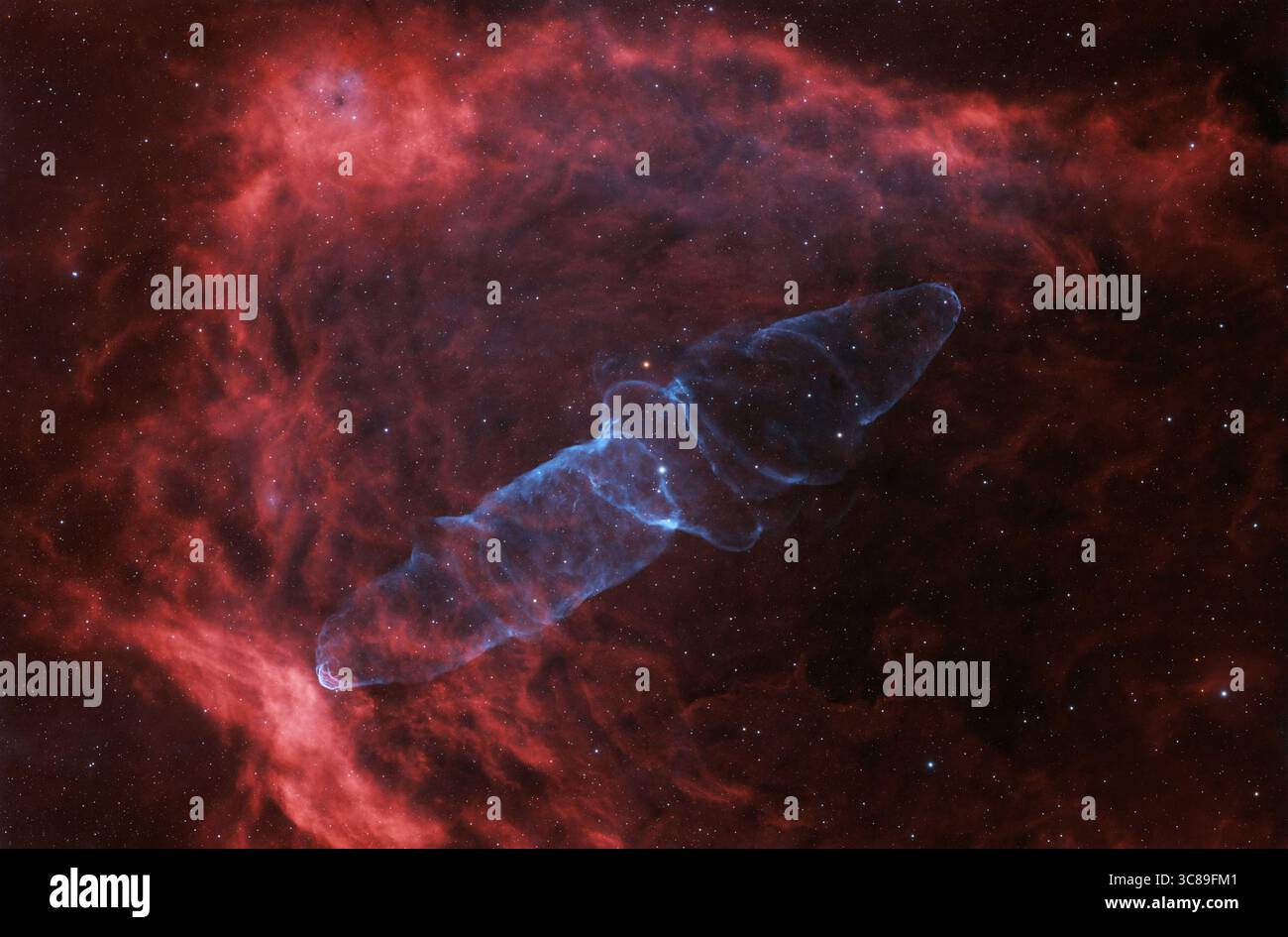 Oggetto spaziale profondo: Nebulosa di pipipistrelli volanti (SH2-129 e OU4) nella costellazione Cefeo. Immagine amatoriale A banda stretta, tempo di acquisizione totale: 36 ore Foto Stock