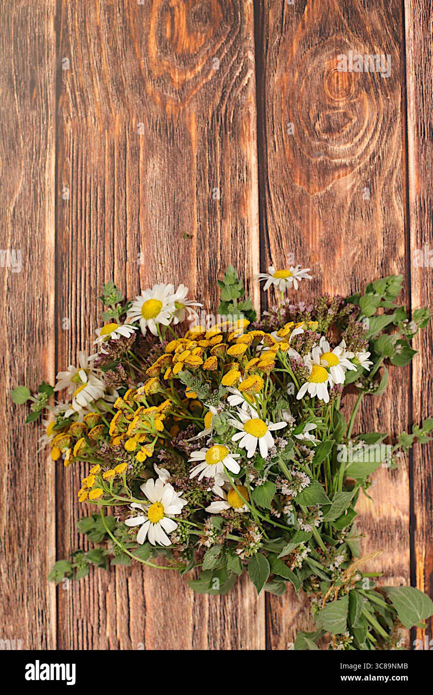 Composizione floreale di erbe e fiori selvatici su un tavolo di legno, stile rustico, bouquet di tansy, menta, celandina, origano, camomilla e freccia, collec Foto Stock