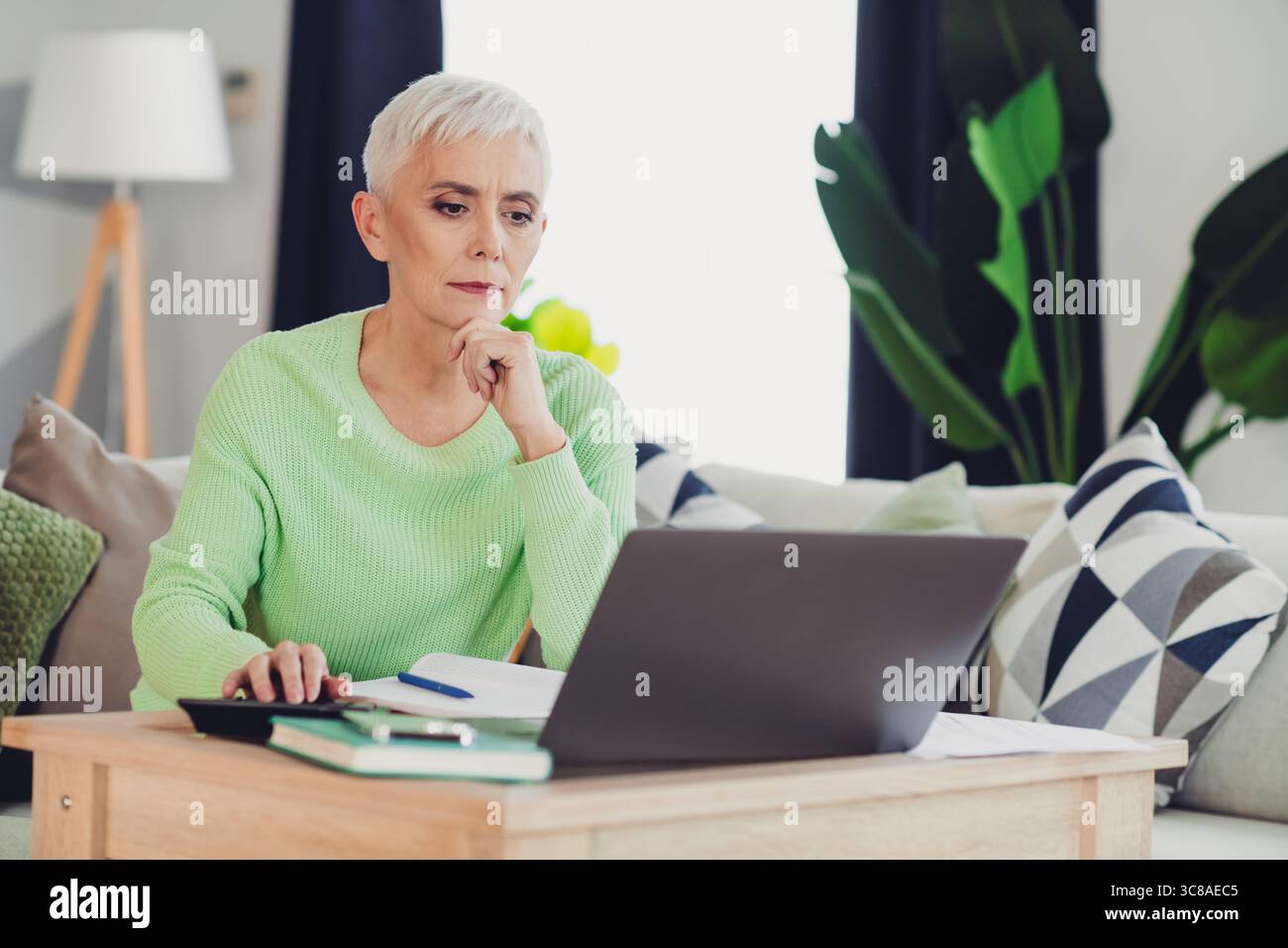 Donna matura che utilizza un notebook a casa e si rilassa sul divano. Adulto anziano che lavora o naviga online in un accogliente salotto. Foto Stock