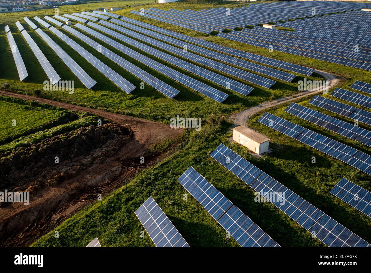 File di pannelli solari si estendono attraverso il campo verde, riflettendo il sole. L'installazione di energia rinnovabile si trova in zone rurali, ponendo l'accento sulla sostenibilità e sulle soluzioni per l'energia pulita Foto Stock