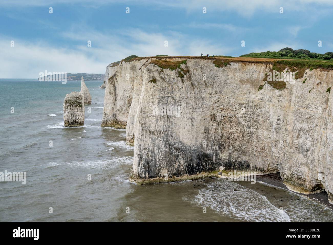 Old Harry's Rocks, Studland, Dorset, Inghilterra Foto Stock Old Harry's Rocks, Studland, Dorset, Inghilterra Foto Stock