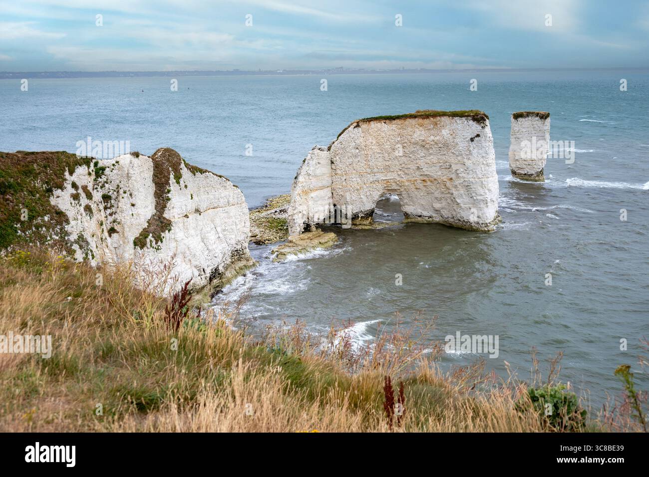 Old Harry's Rocks, Studland, Dorset, Inghilterra Foto Stock Old Harry's Rocks, Studland, Dorset, Inghilterra Foto Stock