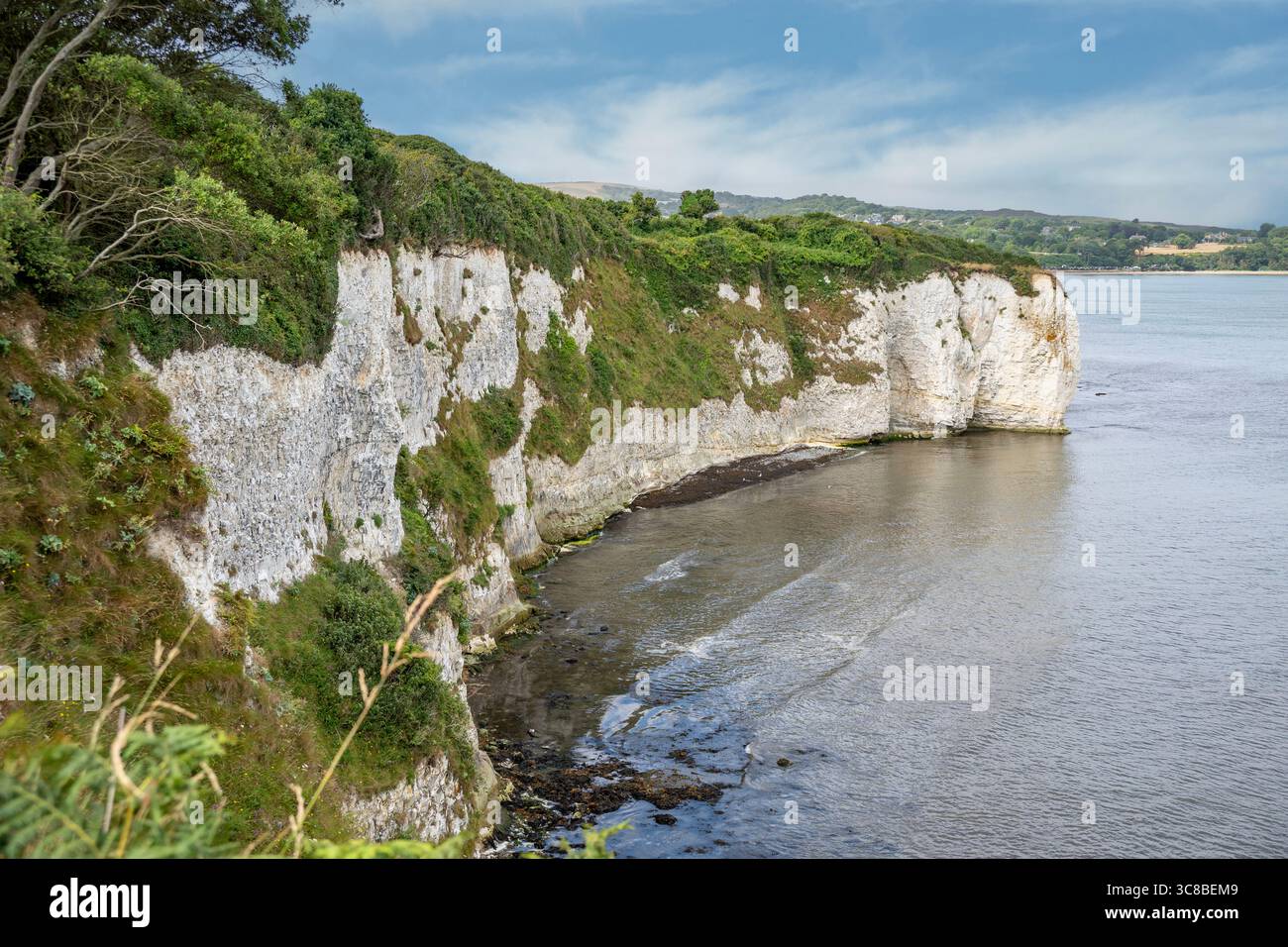 Scogliere a Old Harry's Rocks, Studland, Dorset, Inghilterra Foto Stock Scogliere a Old Harry's Rocks, Studland, Dorset, Inghilterra Foto Stock