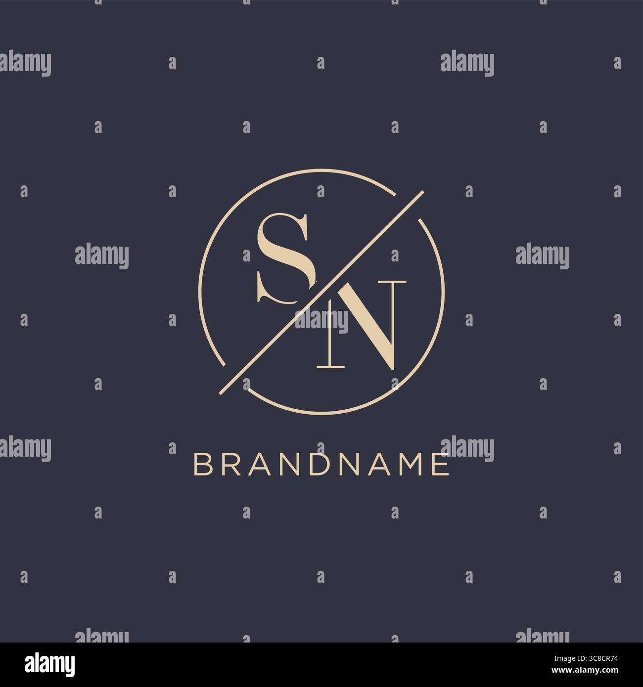 Logo Letter SN iniziale con linea circolare semplice look elegante logo monogramma grafica vettoriale Illustrazione Vettoriale