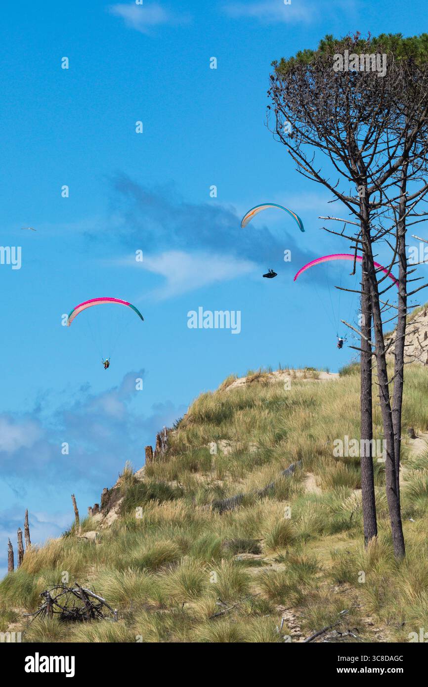 Tre parapendio alla duna di Pilat Foto Stock