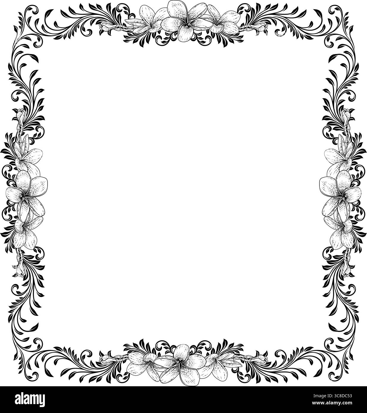 Cornice Frangipani Flower Plumeria Border Etching Illustrazione Vettoriale
