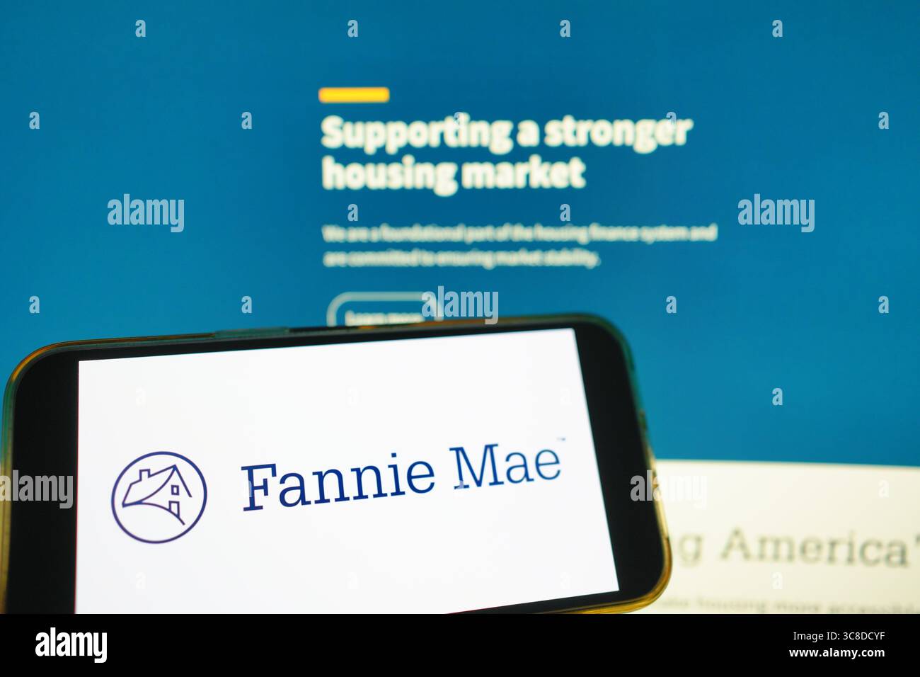 Roosendaal, Paesi Bassi - 29 luglio 2025: Un telefono cellulare che mostra il logo della società Fannie Mae, con il sito web dell'azienda sullo sfondo. Foto Stock