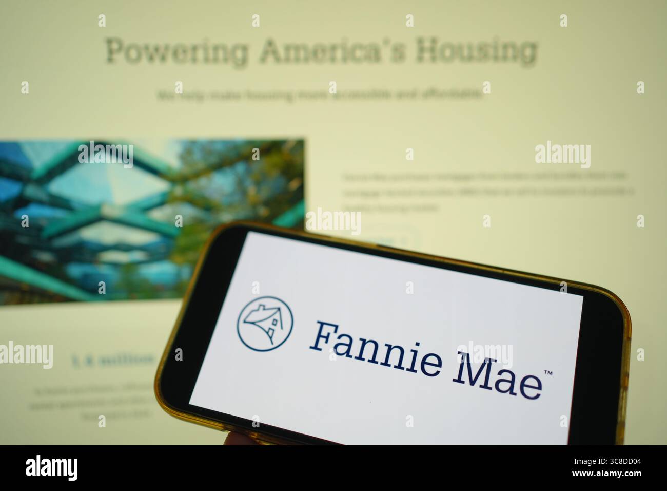 Roosendaal, Paesi Bassi - 29 luglio 2025: Un telefono cellulare che mostra il logo della società Fannie Mae, con il sito web dell'azienda sullo sfondo. Foto Stock