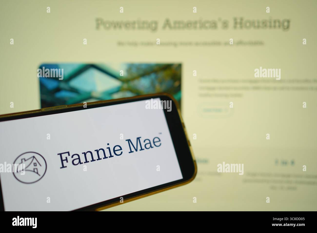 Roosendaal, Paesi Bassi - 29 luglio 2025: Un telefono cellulare che mostra il logo della società Fannie Mae, con il sito web dell'azienda sullo sfondo. Foto Stock