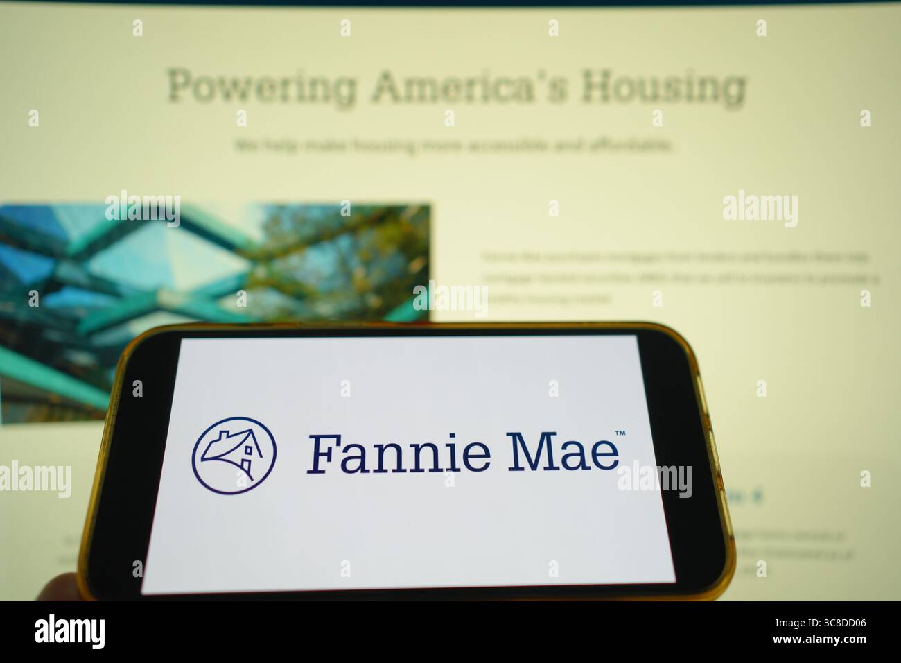 Roosendaal, Paesi Bassi - 29 luglio 2025: Un telefono cellulare che mostra il logo della società Fannie Mae, con il sito web dell'azienda sullo sfondo. Foto Stock