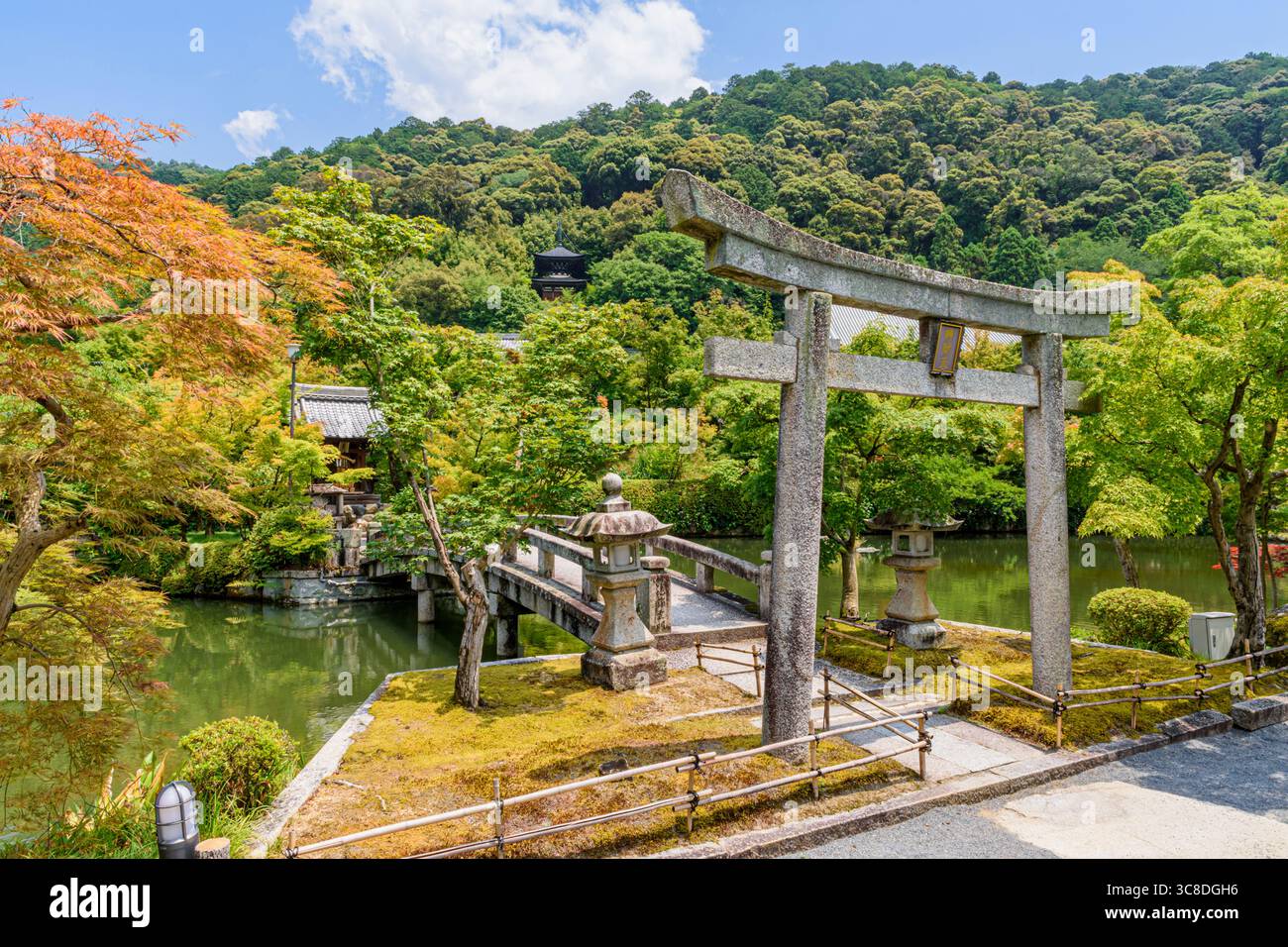 Stagno Hojo-ike e ponte per un piccolo santuario a Eikando formalmente Tempio Zenrinji, Kyoto, Kansai, Giappone Foto Stock