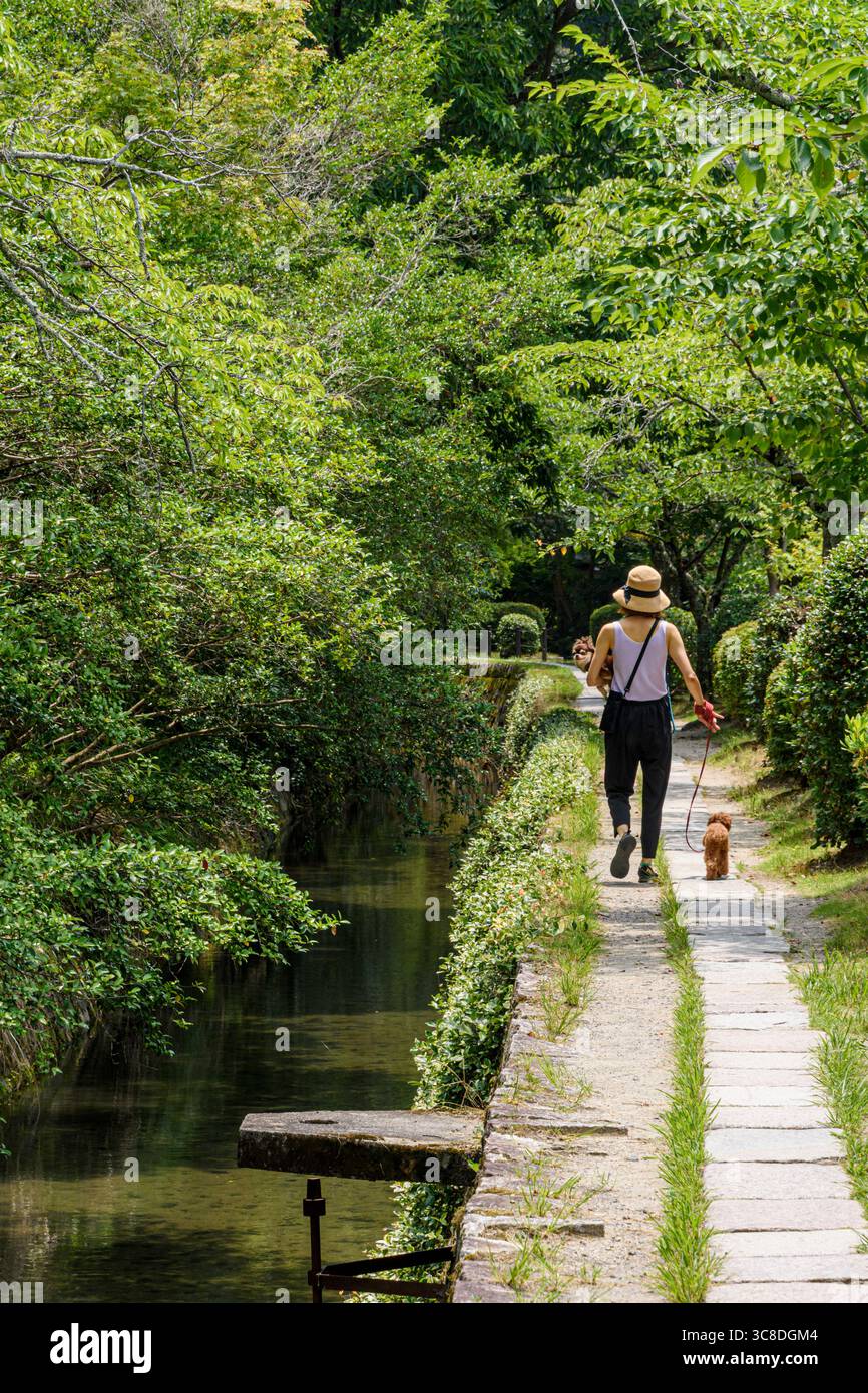 Una persona che cammina cani lungo il tranquillo sentiero filosofo in estate, Kyoto, Kansai, Giappone Foto Stock