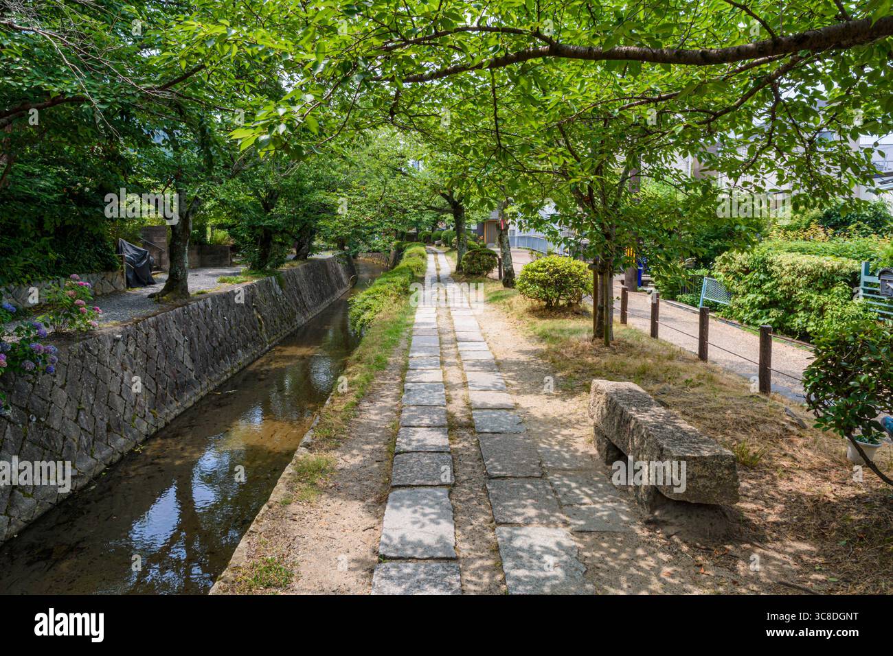 Percorso filosofo, Tetsugaku No Michi, Sakyo Ward, Kyoto, Kansai, Giappone Foto Stock