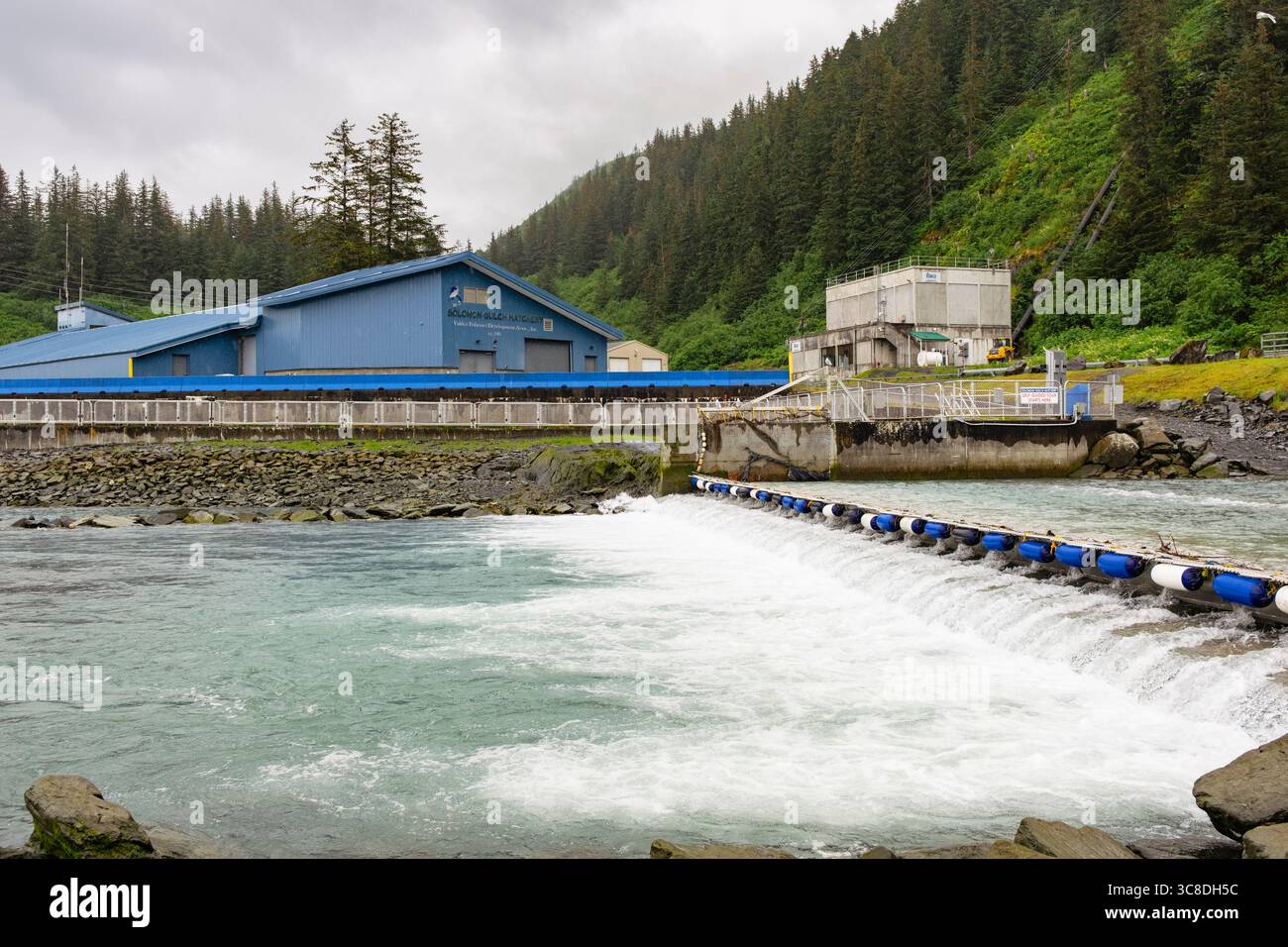Salomon Gulch Hatchery Fish weir per limitare la migrazione del salmone. Valdez, Alaska, Stati Uniti Foto Stock