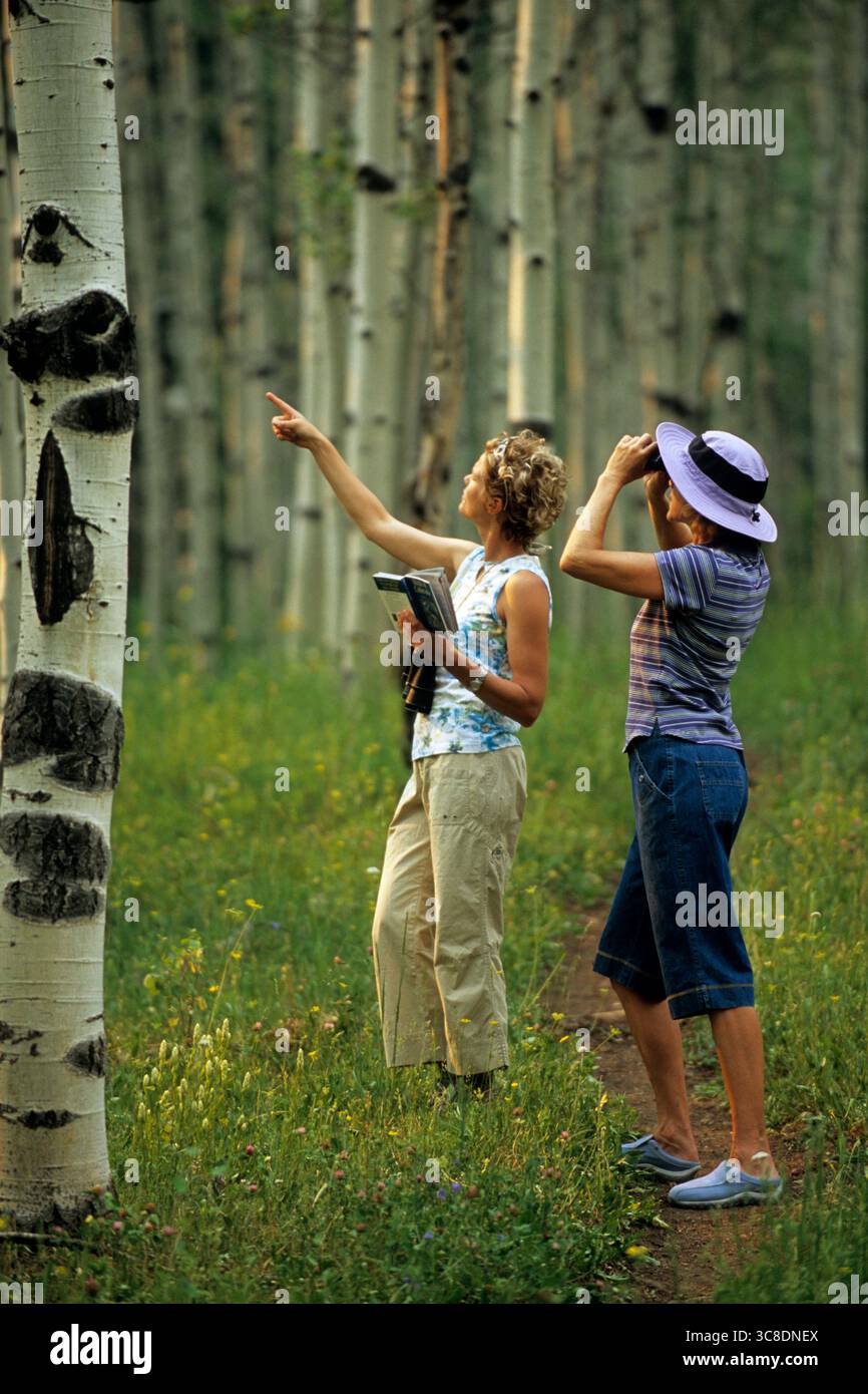 Due donne bird watching nella San Juan National Forest, Colorado. Foto Stock