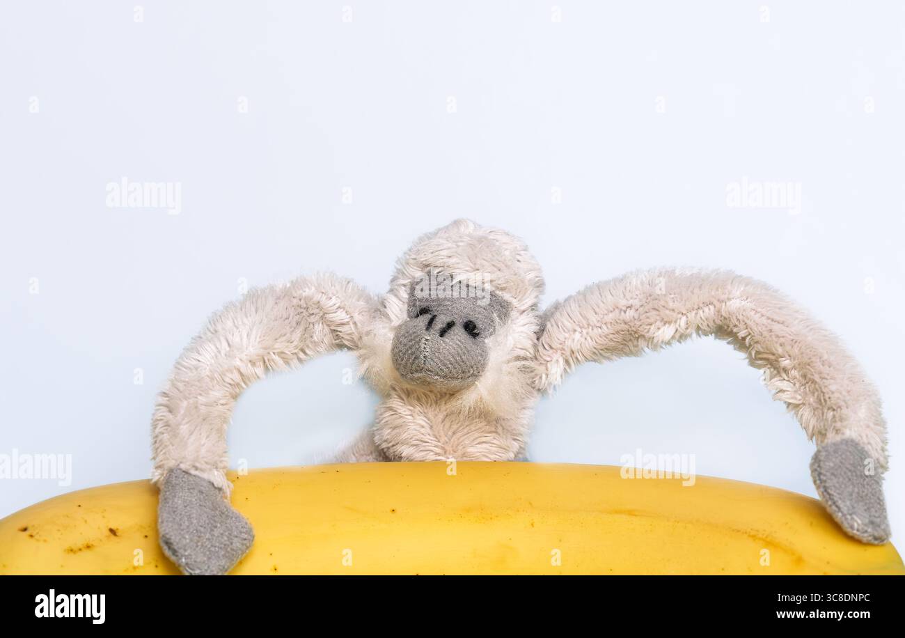 L'adorabile peluche scimmia è in posizione giocosa con la banana, che irradia un'atmosfera giocosa. La texture morbida e il design adorabile lo rendono il compagno perfetto. Foto Stock
