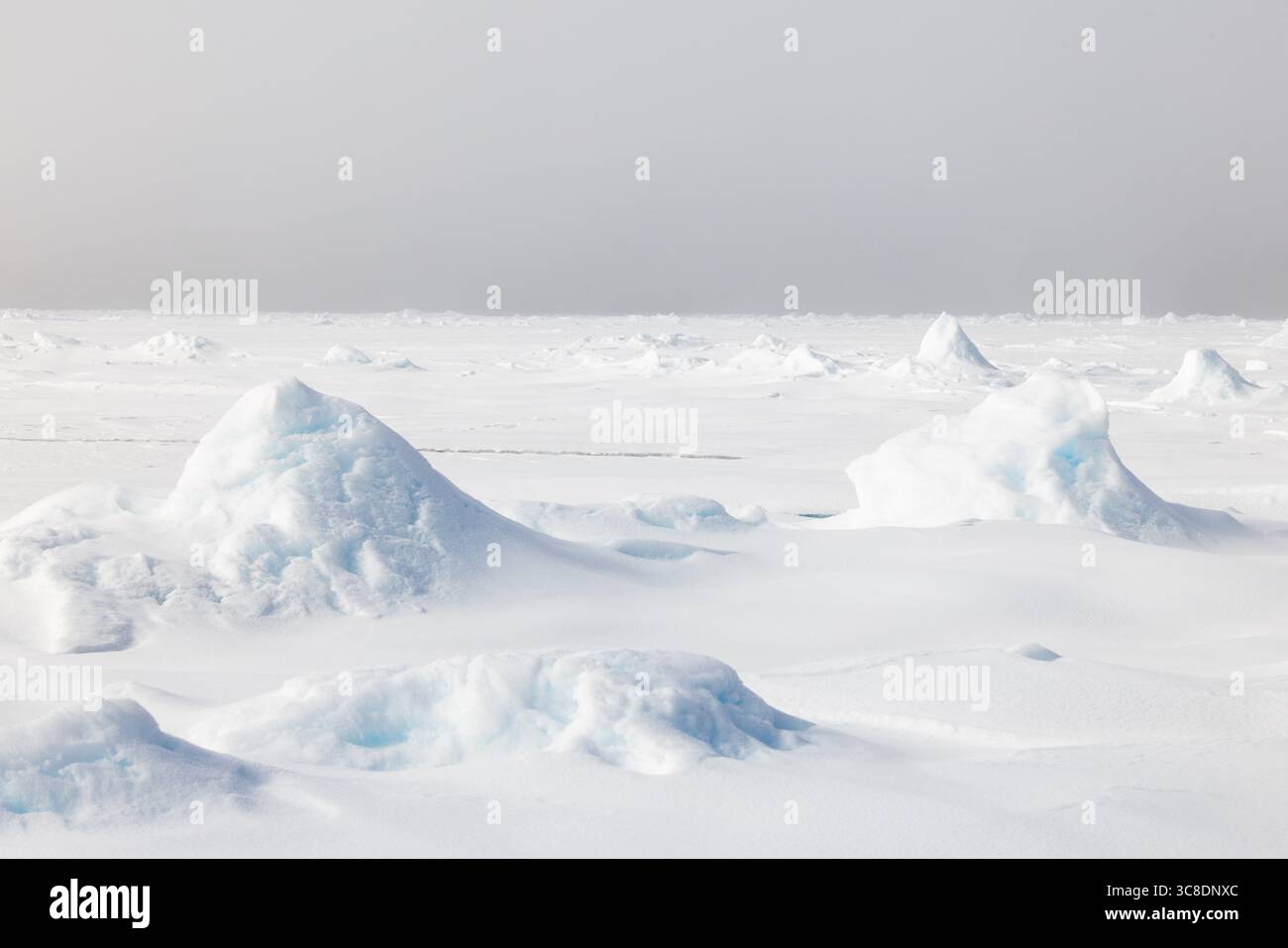 Ghiaccio marino sulla sponda ghiacciata, 82° parallelo, Spitsbergen, Svalbard Foto Stock