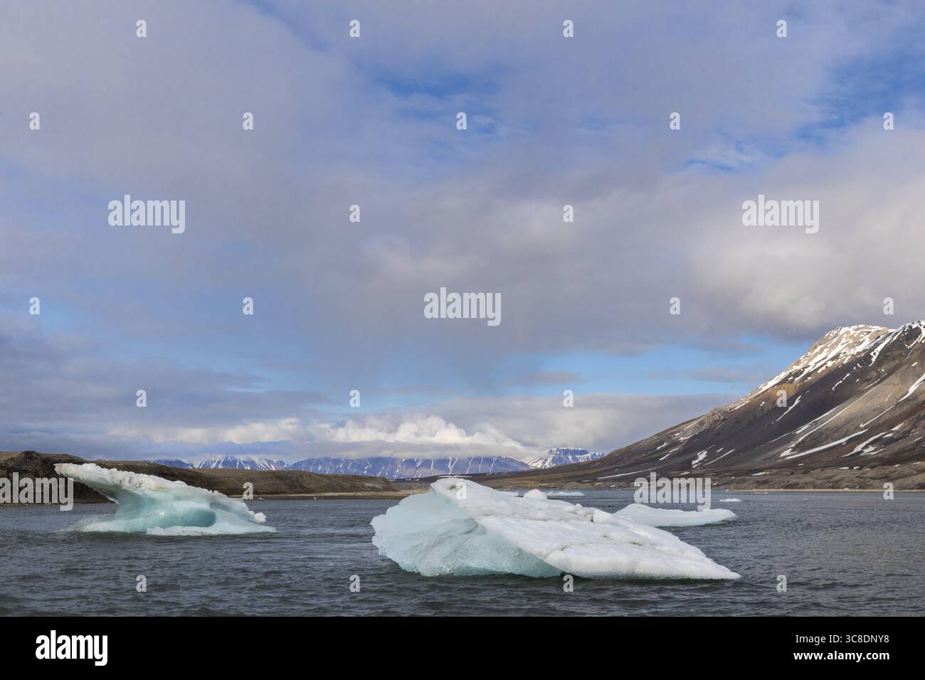 Banchine di ghiaccio alla deriva in mare, baia, Recherchebreen, Spitsbergen, Svalbard Foto Stock