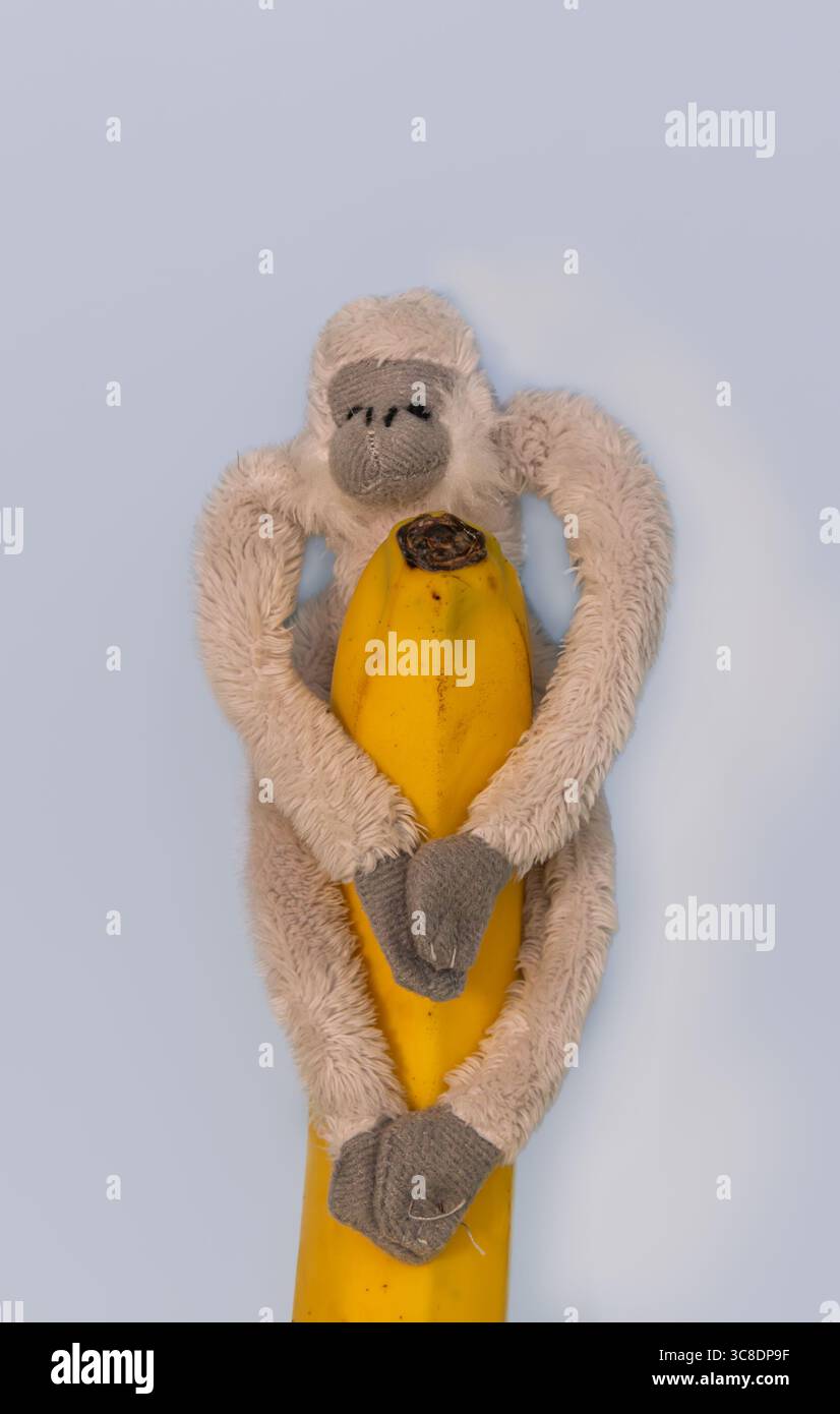 L'adorabile peluche scimmia è in posizione giocosa con la banana, che irradia un'atmosfera giocosa. La texture morbida e il design adorabile lo rendono il compagno perfetto. Foto Stock