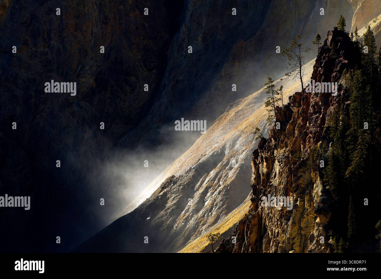 Una nebbia dalle cascate di Yellowstone e un piccolo gruppo di alberi e una fascia rocciosa illuminata da un raggio di sole nel Grand Canyon di Yellowstone. Foto Stock
