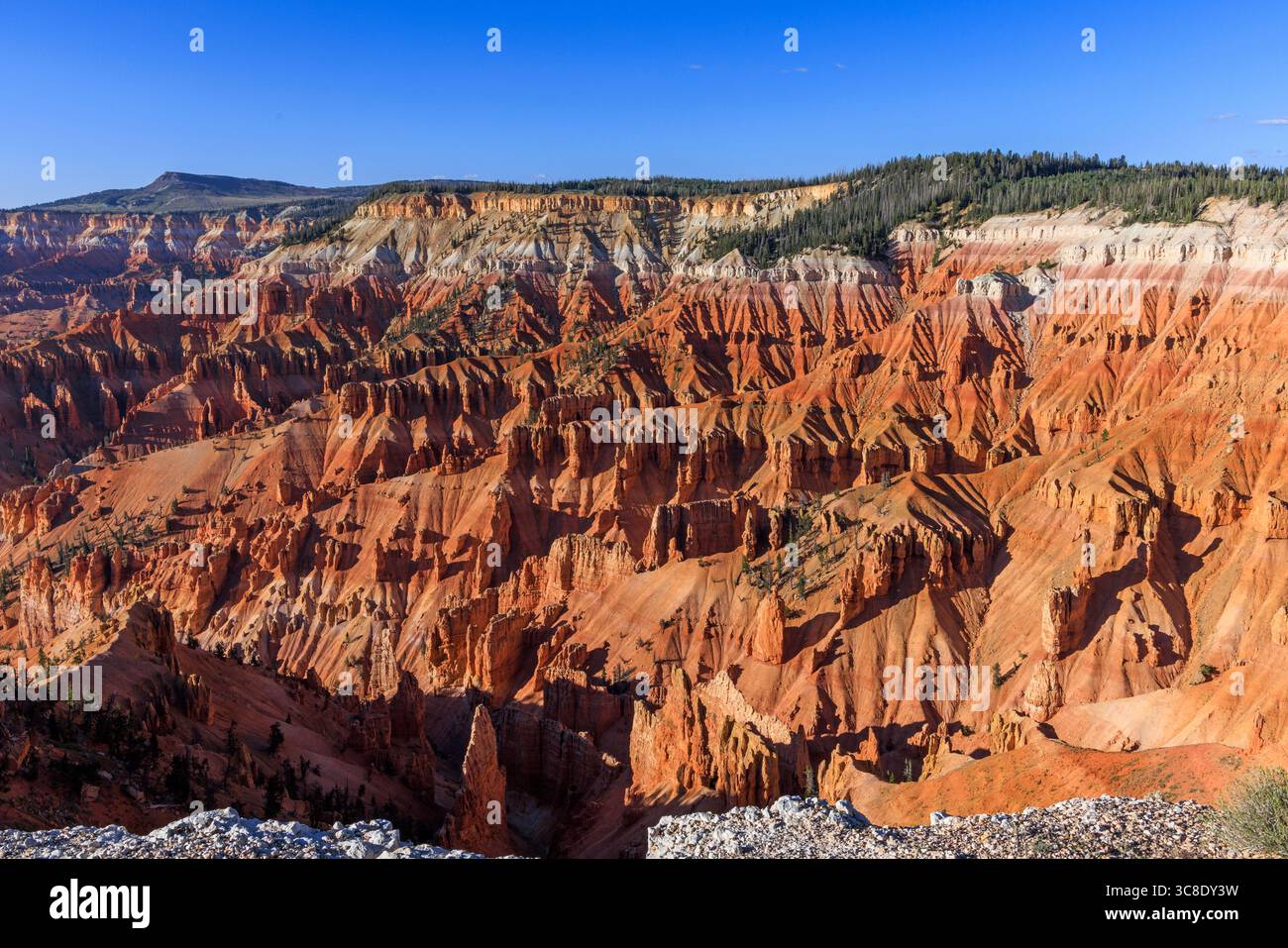 Una vista delle spettacolari formazioni di roccia rossa nell'area anfiteatro del Cedar Breaks National Monument vicino a Cedar City, Iron County, Utah, USA. Foto Stock