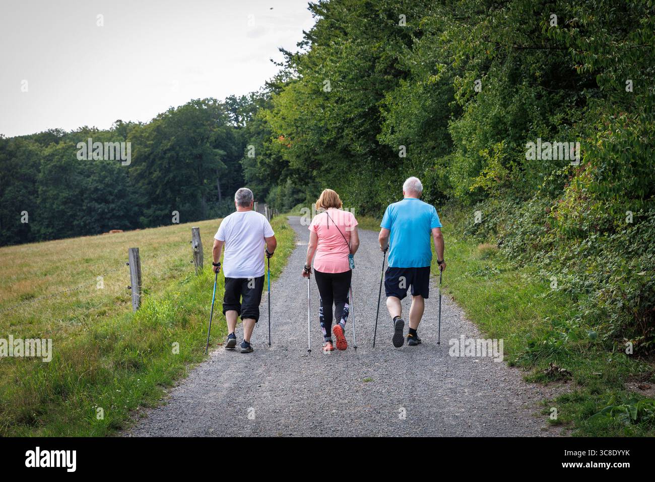 Camminatore nordico sulla pista Ruhrhoehenweg nelle montagne Ardey vicino a Wetter an der Ruhr, regione della Ruhr, Renania settentrionale-Vestfalia, Germania. ###EDITORIALE US Foto Stock