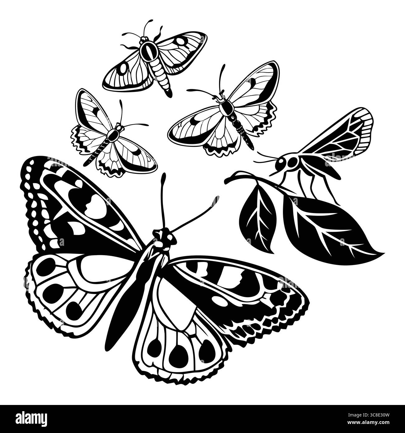 Illustrazione in bianco e nero delle farfalle e delle mele che circondano le foglie Illustrazione Vettoriale