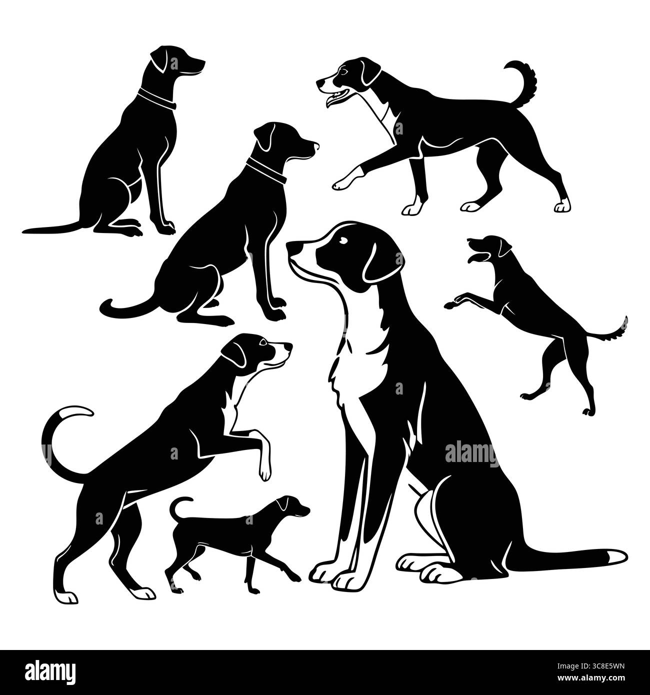 Collezione di silhouette Appenzeller Dog in varie pose e azioni Illustrazione Vettoriale