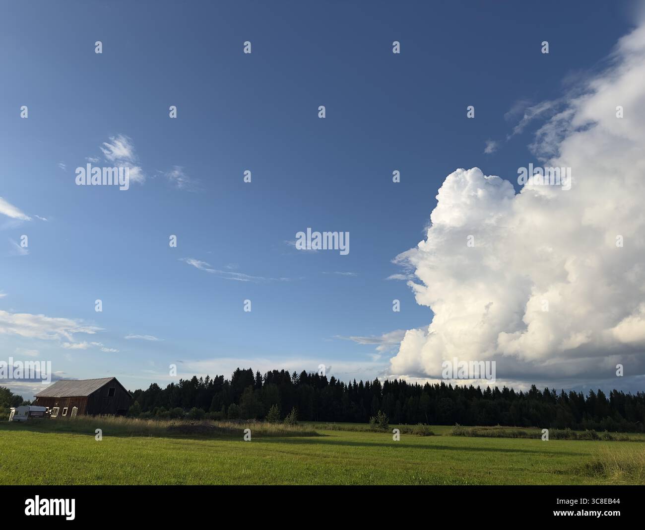 La splendida giornata estiva mostra un cielo vibrante sopra l'idilliaco paesaggio di campagna. Foto Stock