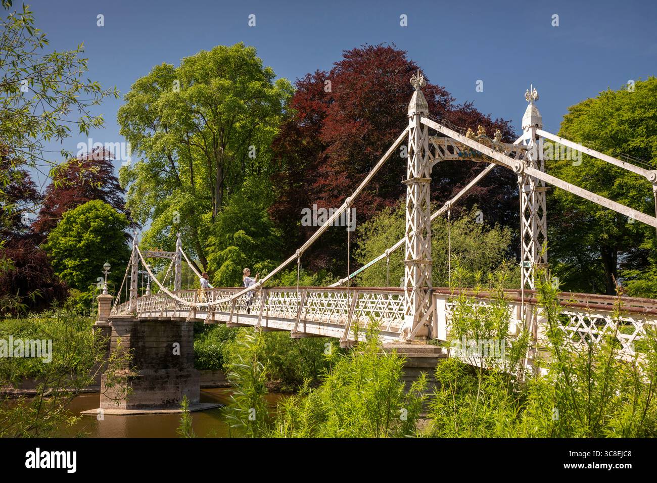 Regno Unito, Herefordshire, Hereford, Victoria Bridge sul fiume Wye Foto Stock
