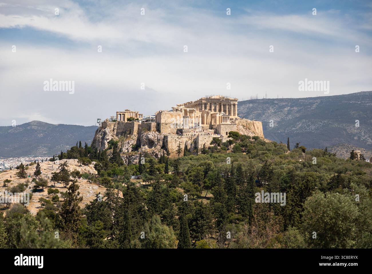 Vista dell'Acropoli attraverso rami di Bush, Atene Foto Stock