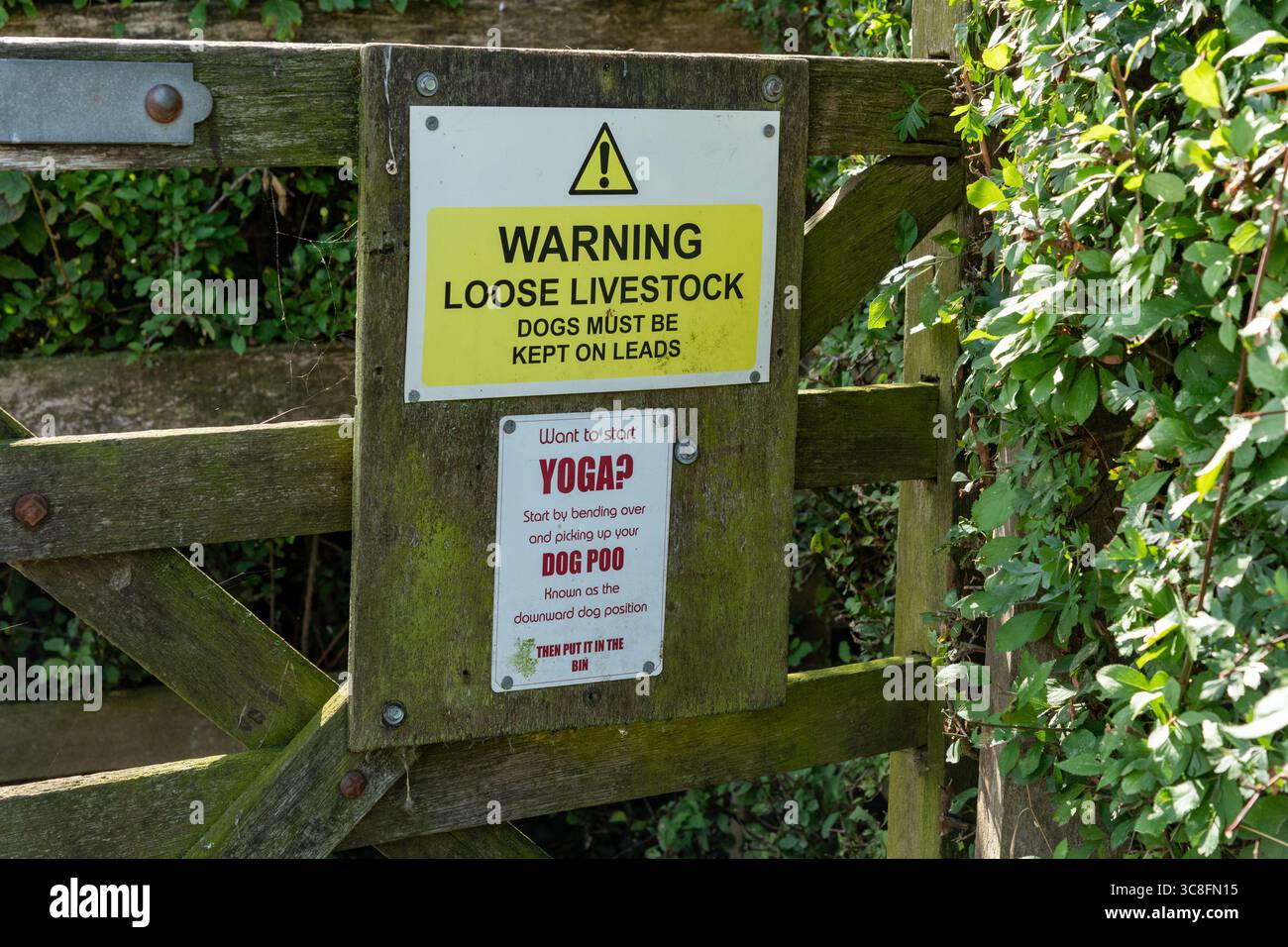 Segnaletica di pericolo per il bestiame, Hanbury, Tutbury, Staffordshire, Regno Unito Foto Stock
