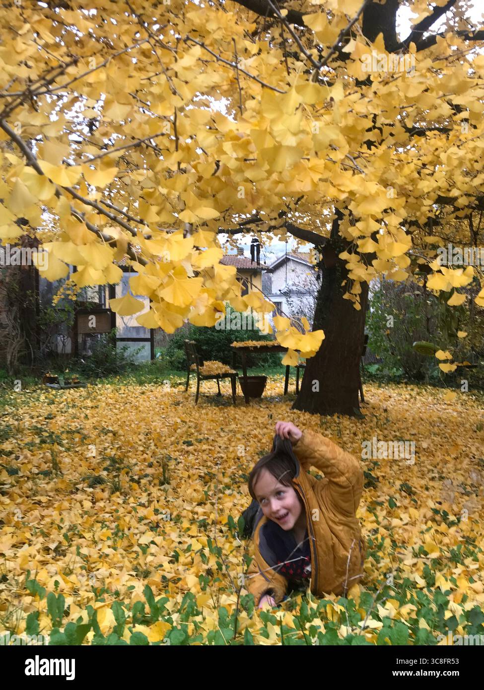 Bambino che gioca con gioia in un giardino pieno di foglie di ginkgo giallo vibranti. L'espressione giocosa del bambino cattura l'essenza dell'autunno. Grande gink Foto Stock