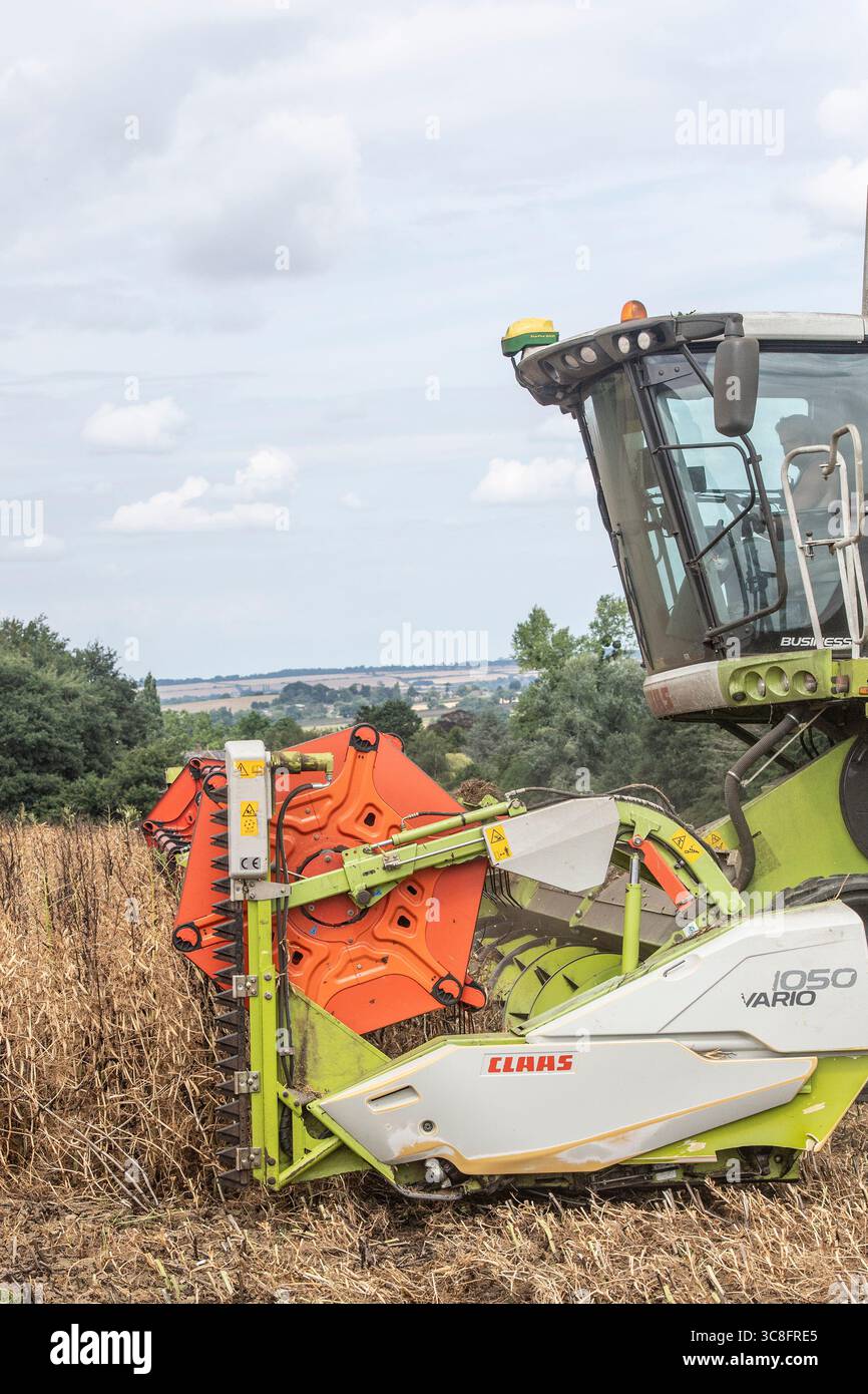 Claas mietitrebbia Foto Stock