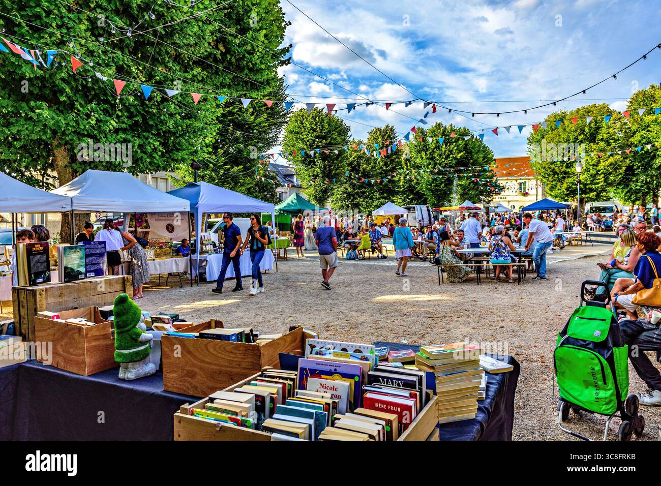 Commercianti locali che vendono cibi locali e artigianato il giorno del mercato a la Roche Posay, Vienne (86), Francia. Foto Stock