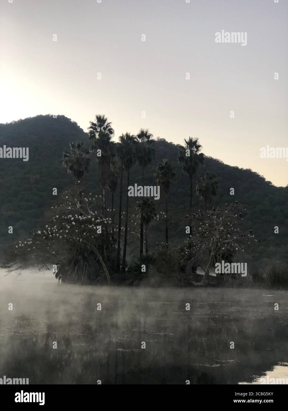 Nebbia panoramica sul lago con palme e colline lontane a Sun City, Sud Africa. Foto Stock