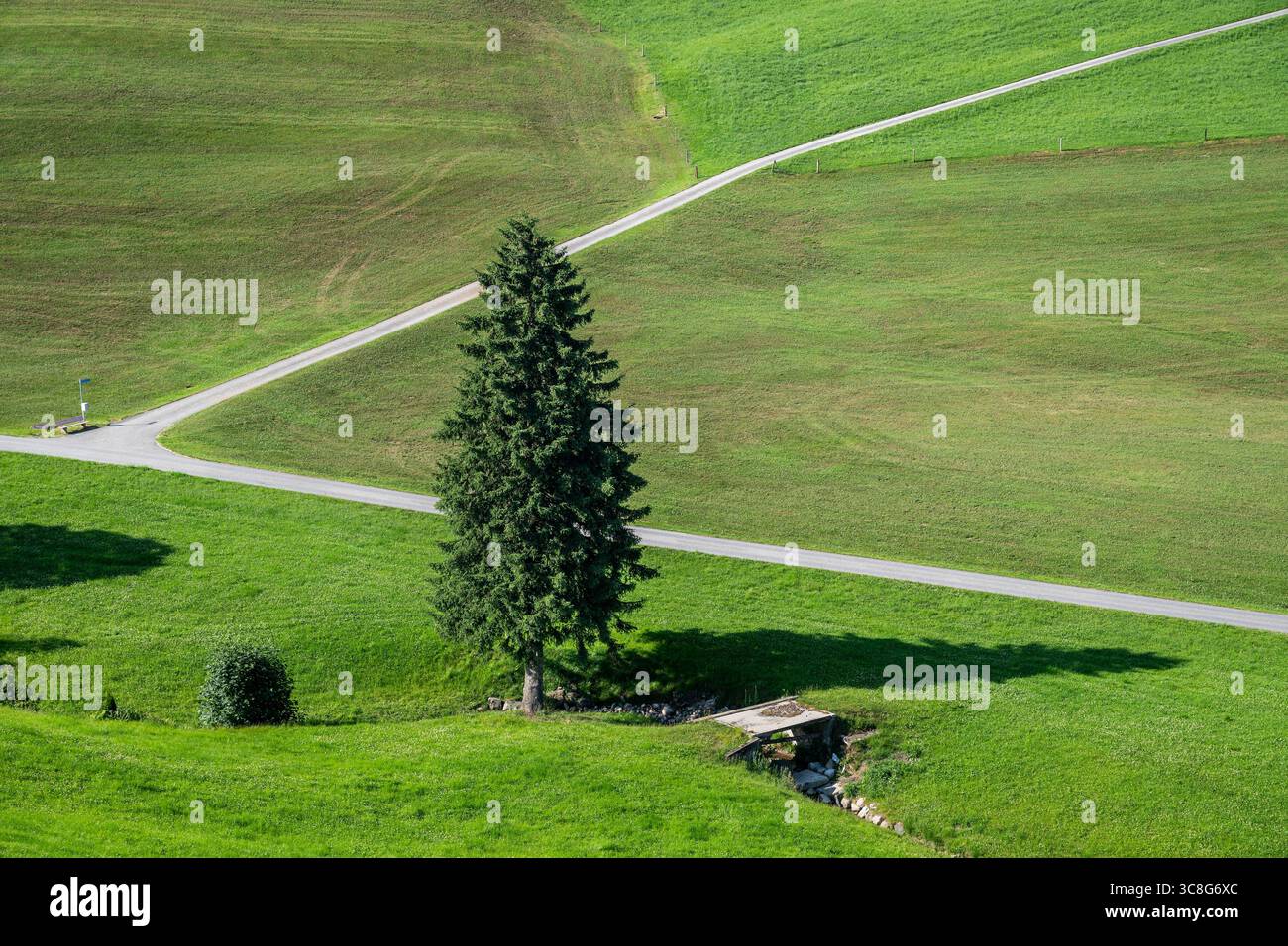 Paesaggio rurale, Gonten, Cantone di Appenzell Innerrhoden, Svizzera Foto Stock