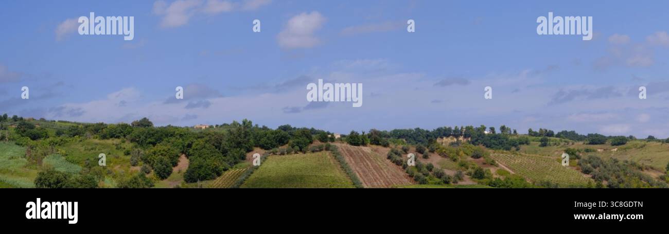 Colline ondulate della Toscana caratterizzate da terreni coltivati verdeggianti, alberi sparsi, luce del sole dorata che getta ombre morbide nel paesaggio agricolo Foto Stock