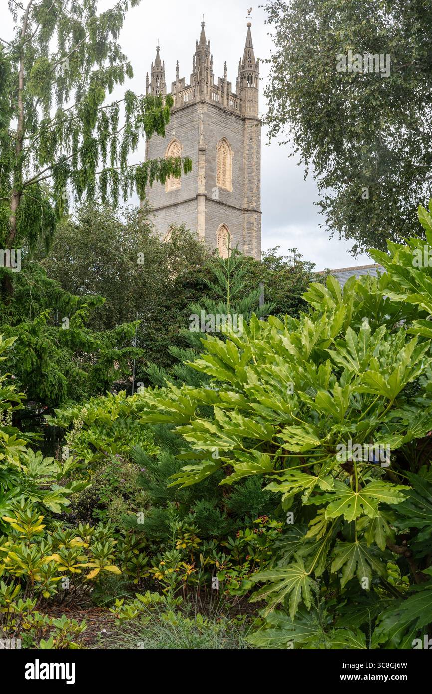 Chiesa di San Giovanni Battista, una chiesa parrocchiale medievale di primo grado a Cardiff, Galles, Regno Unito, vista della torre dai giardini di San Giovanni Foto Stock