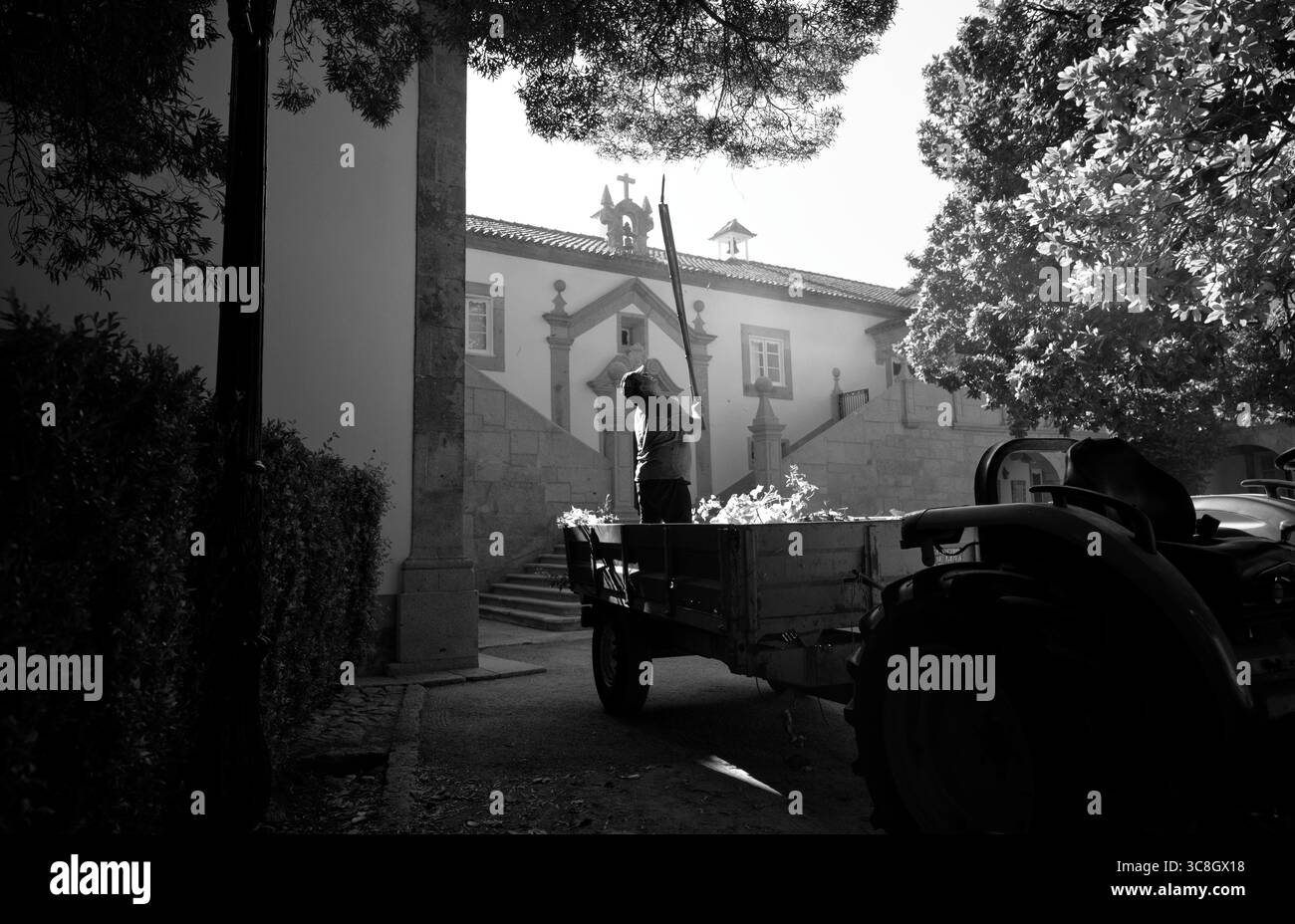 I lavoratori raccolgono il verde sotto la luce del mattino a Paco de Calheiros, con un trattore accanto all'ingresso del maniero barocco Foto Stock