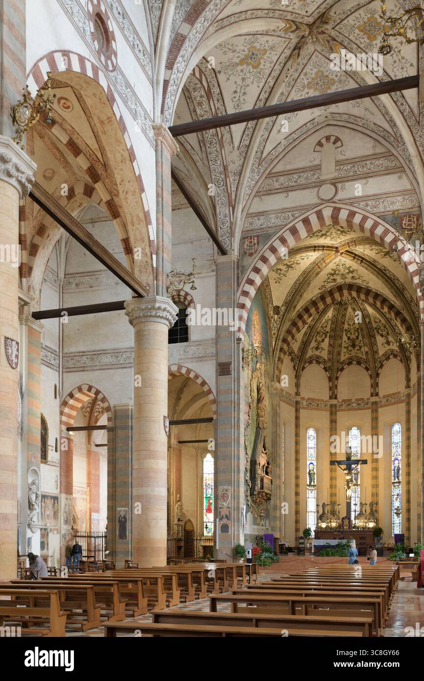 Navata gotica con volte a costole e soffitto affrescato, Basilica di Santa Anastasia, Verona, Italia Foto Stock