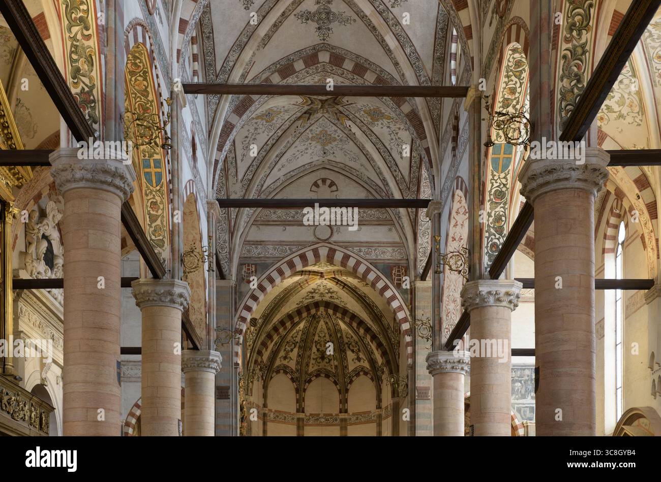 Navata gotica a volta e soffitto dipinto della Basilica di Santa Anastasia, Verona, Italia Foto Stock