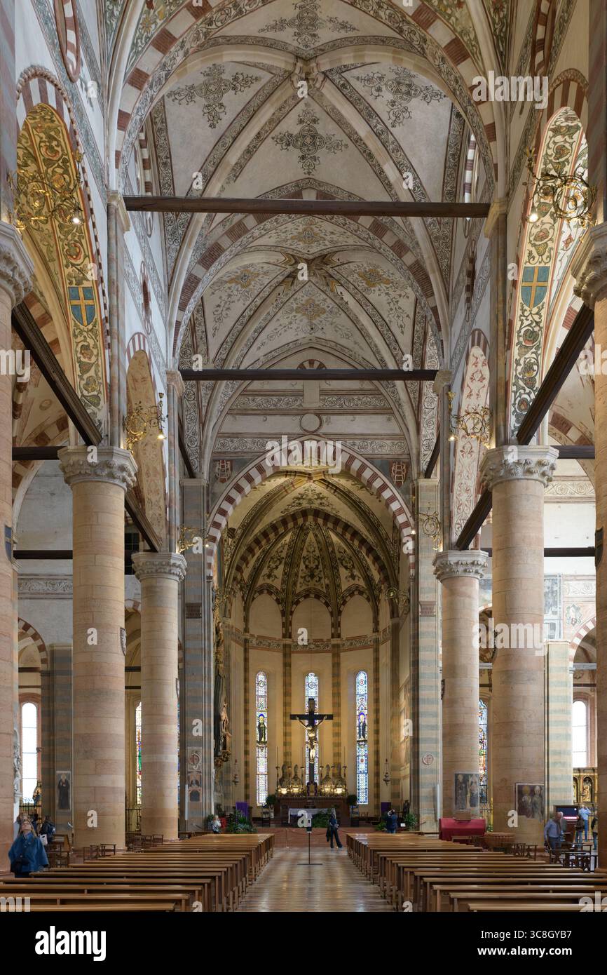 Navata gotica con volte a costole e soffitto affrescato, Basilica di Santa Anastasia, Verona, Italia Foto Stock