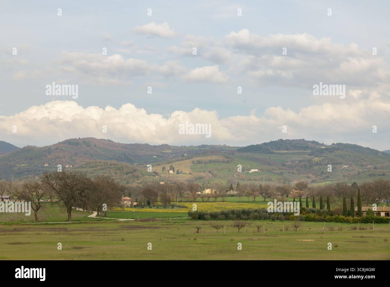 Paesaggio rurale panoramico nei pressi di Spello (Spello), Umbria, Italia, con dolci colline, campi coltivati, case sparse e un cielo nuvoloso. Foto Stock