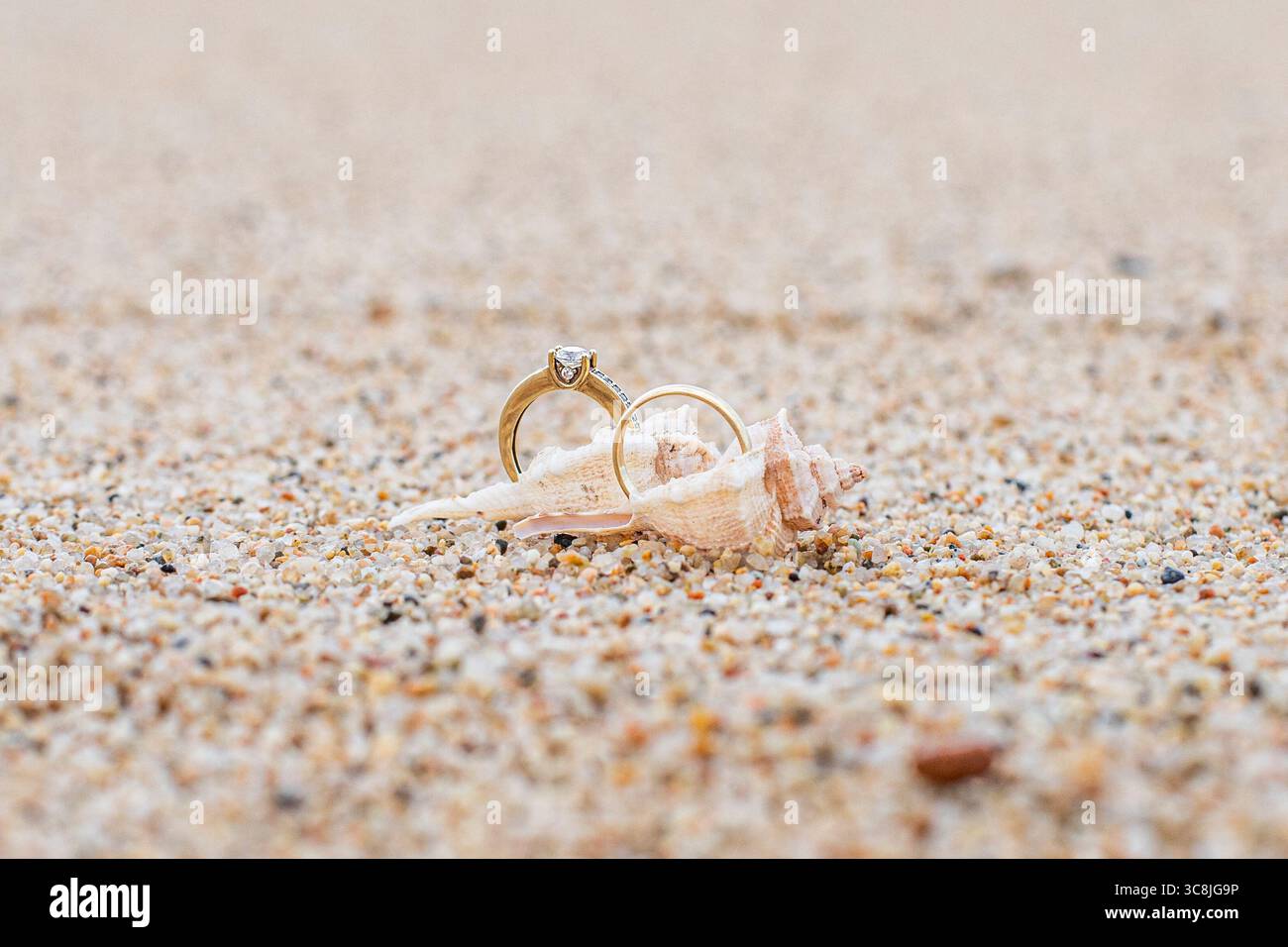 Primo piano delle fedi nuziali sulla sabbia. Coinvolgimento, sfondo con spazio per il testo. Dettagli per matrimoni a tema marino Foto Stock