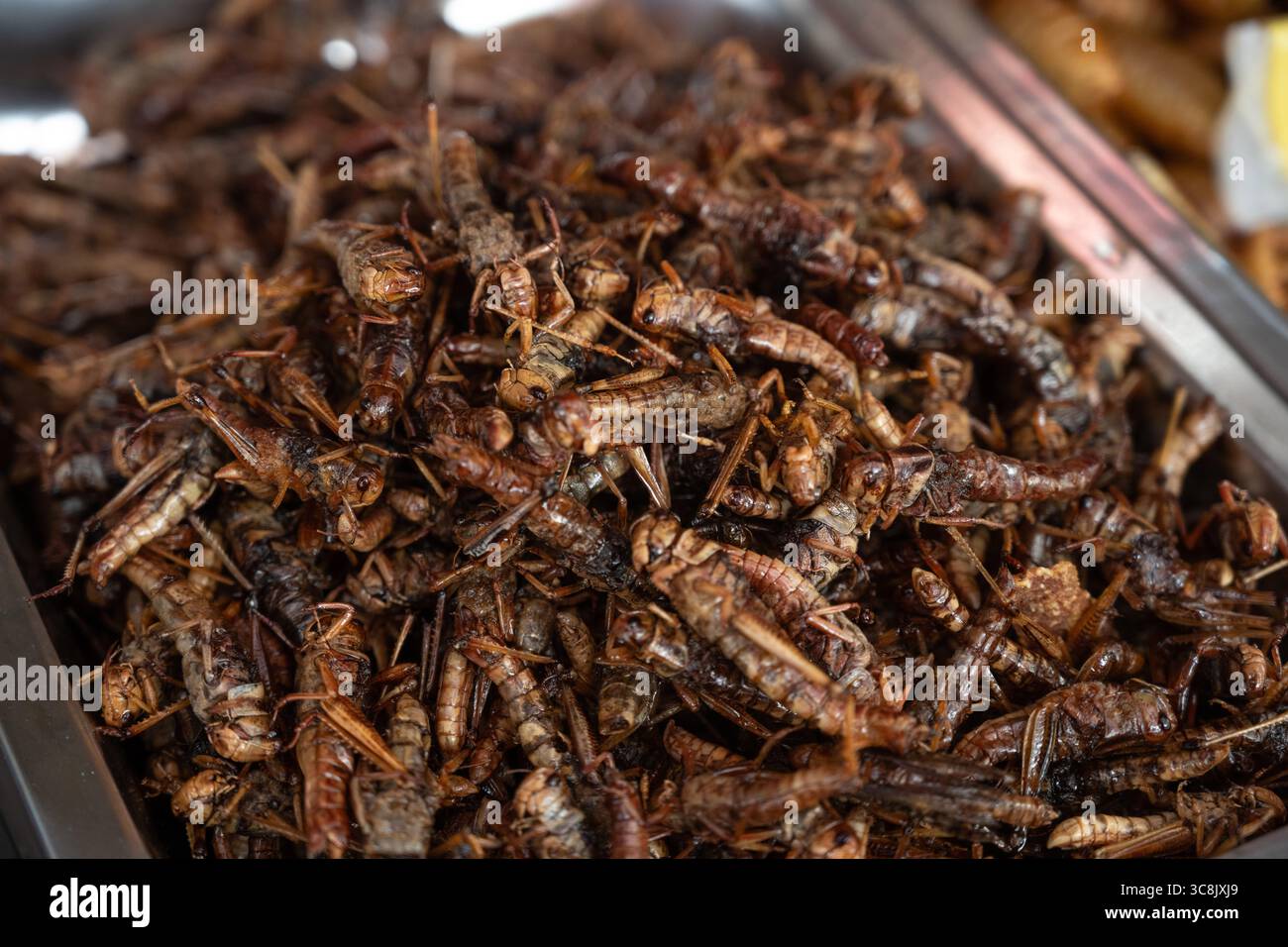 Un mercato tailandese di cibo di strada che vende cavallette fritte, ad alto contenuto proteico e considerato una fonte di cibo sostenibile, Bangkok, Thailandia, Foto Stock