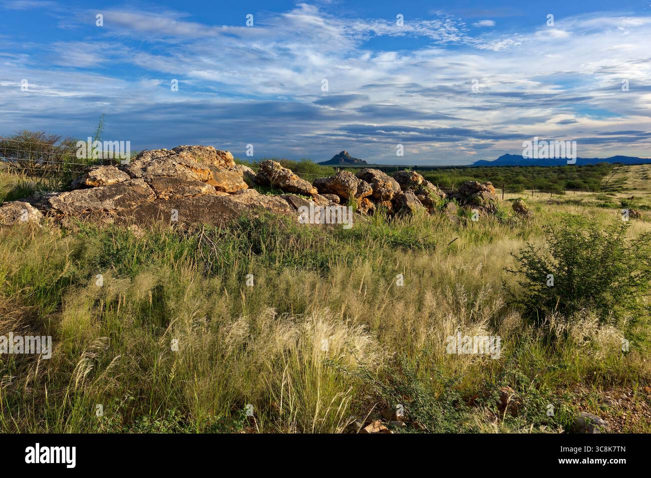 Rocce e erba alta su terreni agricoli a nord-est di Omaruru, regione di Erongo, Namibia Foto Stock
