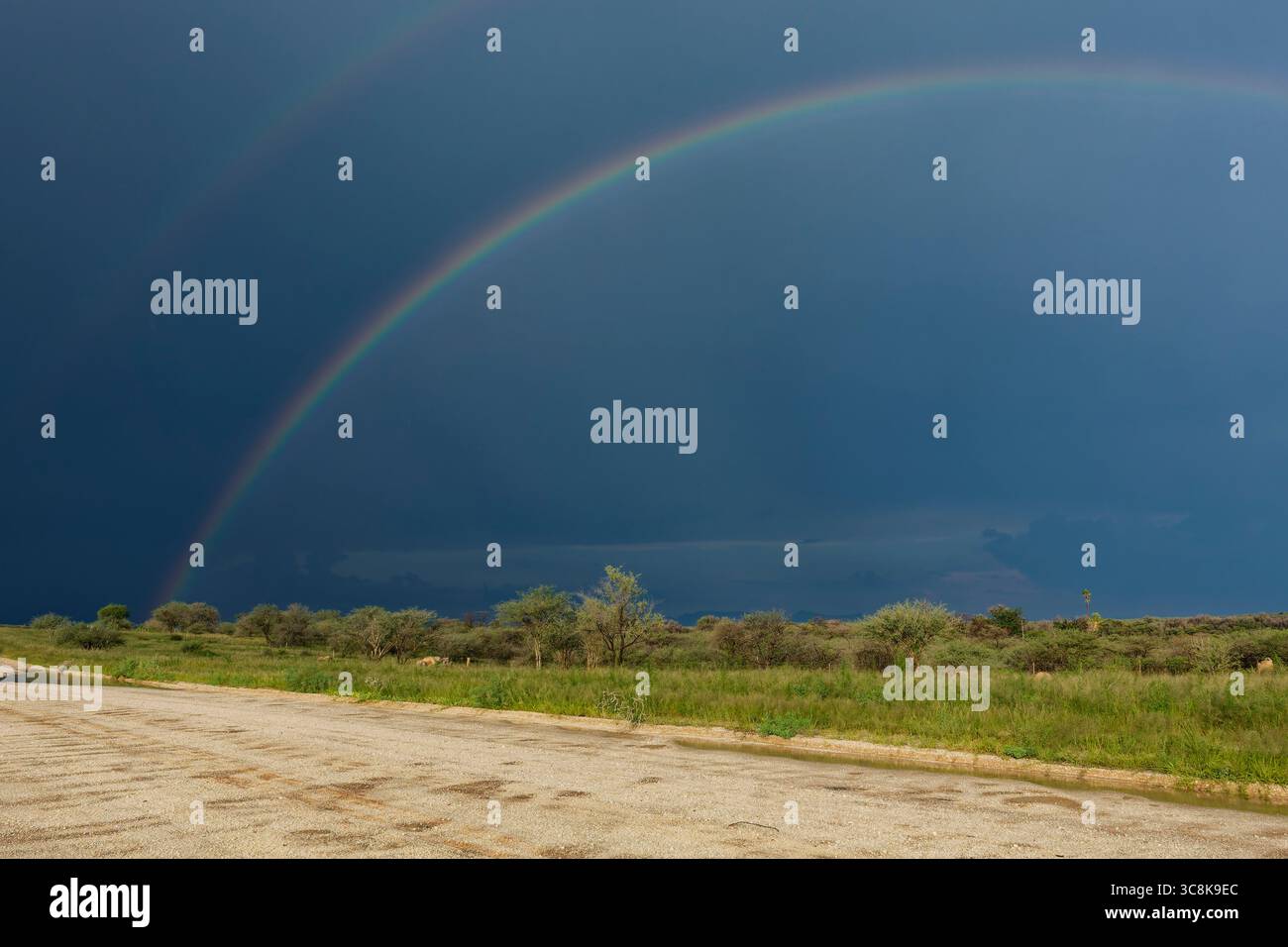 Arcobaleno su terreni agricoli a nord-est di Omaruru, regione di Erongo, Namibia Foto Stock