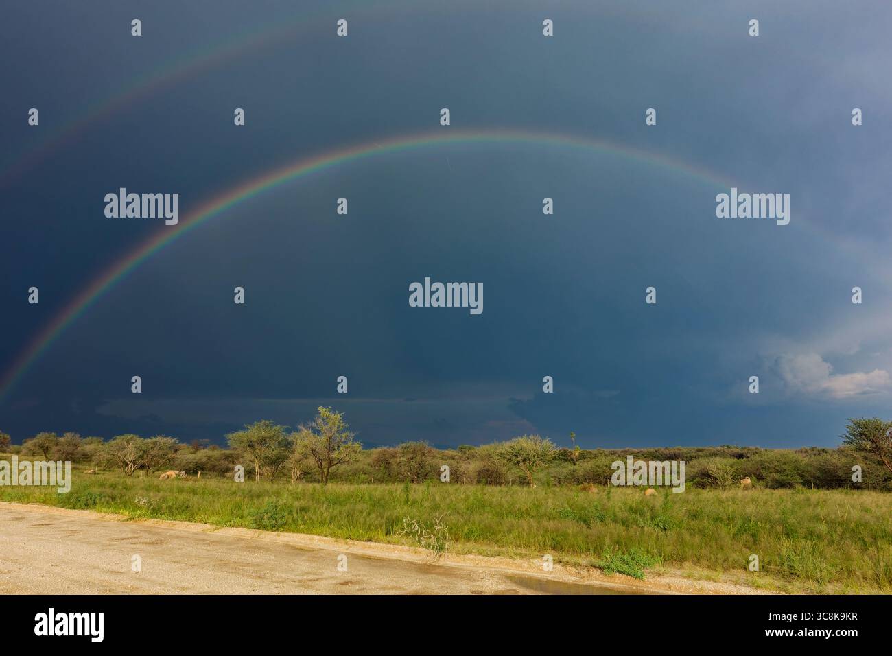 Arcobaleno su terreni agricoli a nord-est di Omaruru, regione di Erongo, Namibia Foto Stock